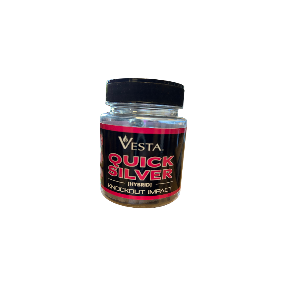 VESTA QUICK SILVER Cal.68 bullets