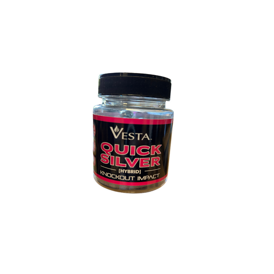 VESTA QUICK SILVER Cal.68 bullets